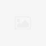 Language Support for Marginalia Search |
marginalia.nu