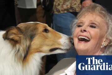 Lost in Space and Lassie actor John Lockhart dies at 100 | television