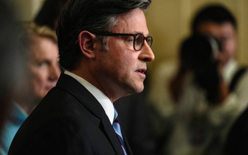 WATCH: Federal workers ‘should’ get back pay after shutdown, Johnson affirms
