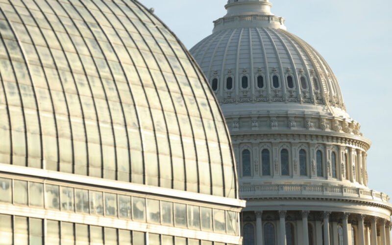 Surgeon General nominee Casey Means goes into labor, delaying his confirmation hearing