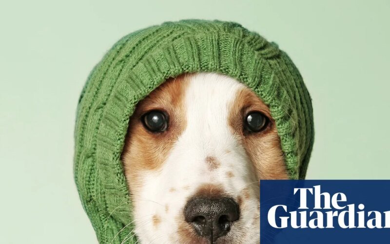 Human Review by Justine Gregg – How Big Are Your Favorite Person? | Science and nature books