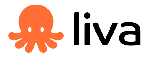 Founding Engineer at Liva AI