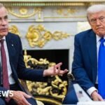 Trump cancels trade talks with Canada over anti-tariffs advert