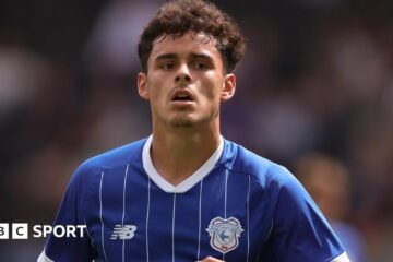 Alex Robertson: Midfielder ‘could play a big role’ for Cardiff – Brian Barry Murphy