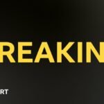 Louis Rees-Zammit: Wales recall Bristol winger after NFL return