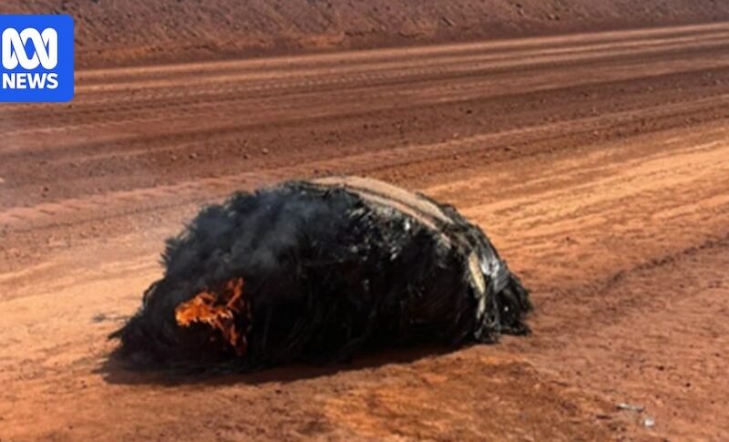 Possible space junk found near Western Australian mine site