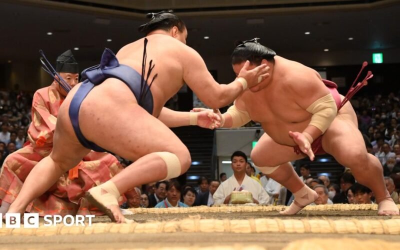 Sumo: what is it, how much do they eat, and why are they in London?