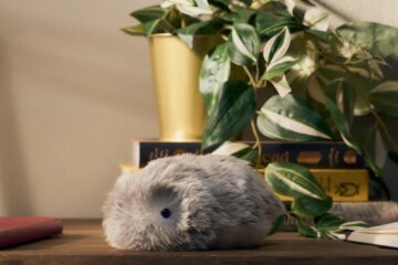 Casio’s fluffy AI robot has made its way into my heart