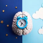 Alzheimer’s disrupts circadian rhythms of plaque-clearing brain cells – WashU Medicine