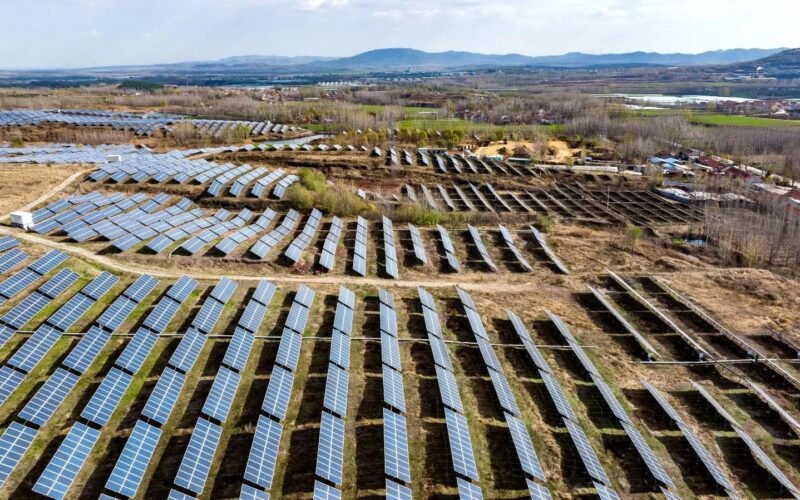 Despite what’s happening in the USA, renewables are winning globally