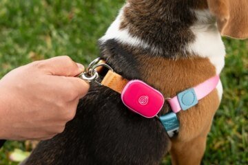 Life360 is entering the pet technology space with the launch of a new GPS tracker