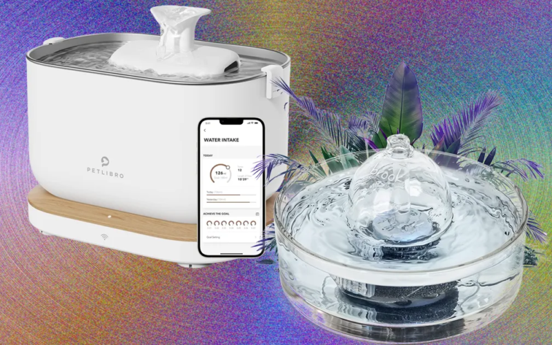 8 Best Cat Water Fountains, WIRED Tested and Reviewed (2025)