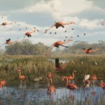 Why should GTA 6 have more animal species?