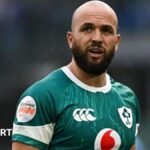 Ireland v New Zealand: A fraternal All Blacks rivalry for Jamison Gibson Park