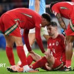 Ben Davies: The Tottenham defender is a doubt for Wales’ crucial World Cup qualifiers