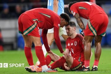 Ben Davies: The Tottenham defender is a doubt for Wales’ crucial World Cup qualifiers