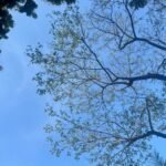 Be Careful with Obsidian | Phong’s blog