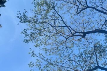 Be Careful with Obsidian | Phong’s blog