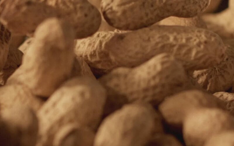 Some 60,000 kids have avoided peanut allergies due to landmark 2015 advice, study finds