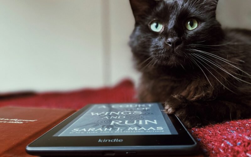 How I Bypassed Amazon’s Kindle Web DRM Because Their App Sucked