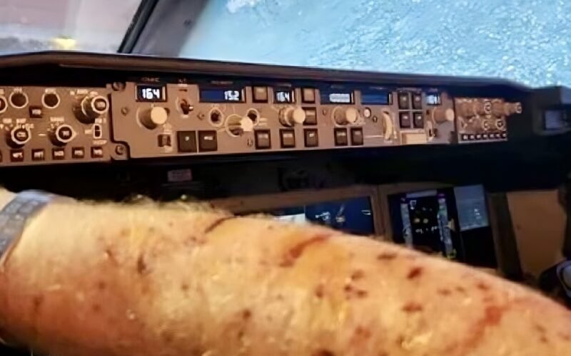 Did Space Debris Hit A United Flight Over The Rockies Thursday? Here’s What We Know So Far