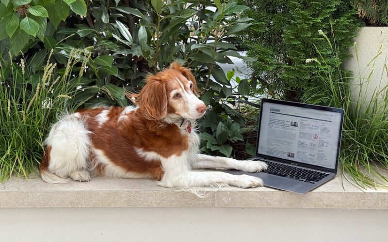 Explaining, at some length, Techmeme’s 20 years of consistency