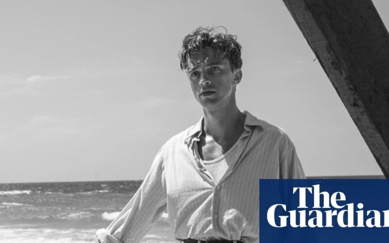 New film adaptation of Camus’s novel The Stranger opens old colonial wounds | François Ozon