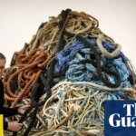 Yours for £1 million! David Shrigley displays 10 tons of ancient rope at exhibition | Art and design