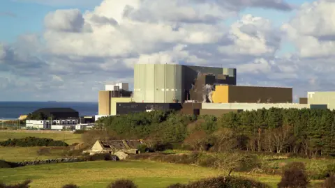 Getty Images The Wylfa site, taken from a road with part of the tarmac visible as well as hedges and grass.