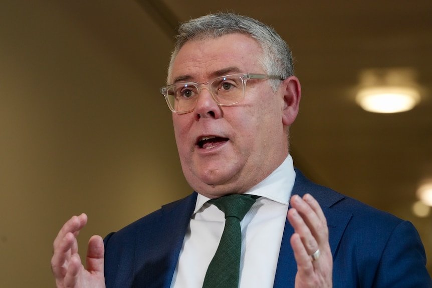 Murray Watt doorstop