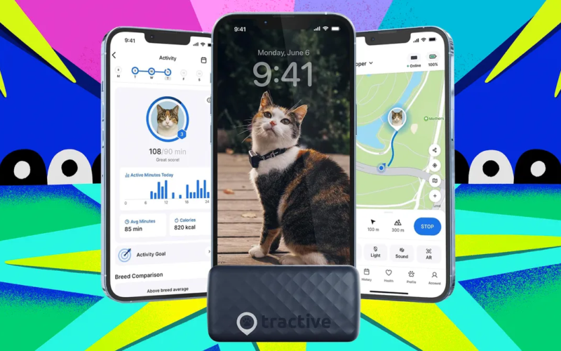 40 percent off smart cat and dog trackers now (2025)