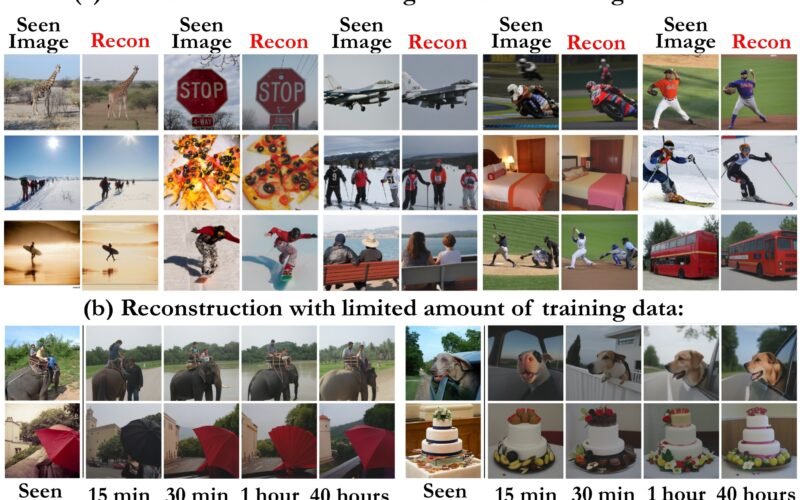 Image Reconstruction from fMRI via Brain-Interaction Transformer