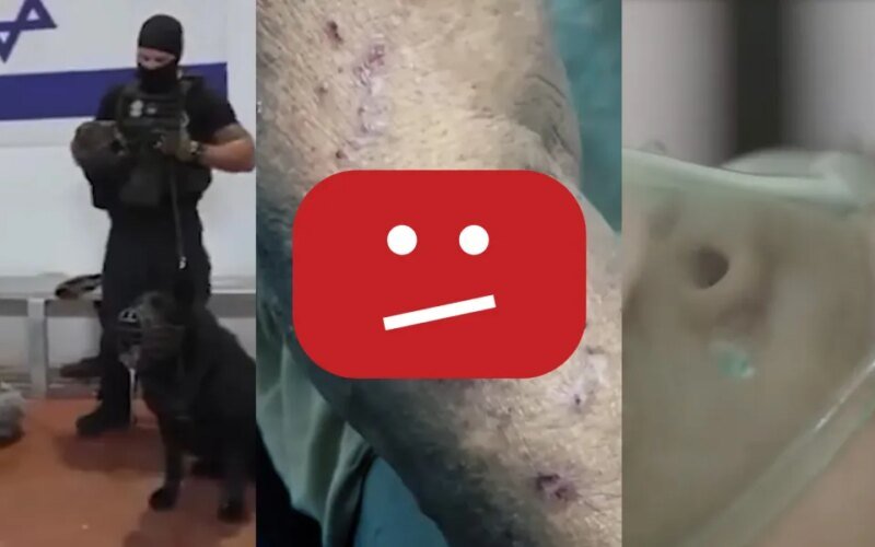 YouTube Erased 700 Videos of Israeli Human Rights Violations