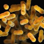 In Louisiana, a Slower Response to Whooping Cough