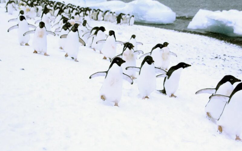 Why people keep flocking to Linux in 2025 (and it’s not just to escape Windows)