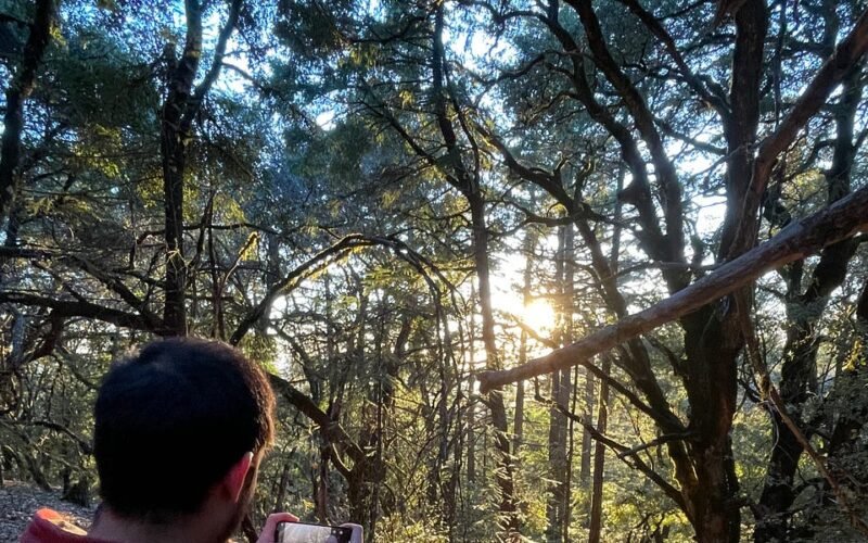 Vision in the Digital Age