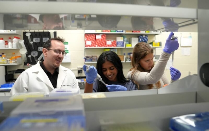 Scientists find ways to boost memory in aging brains | Virginia Tech News