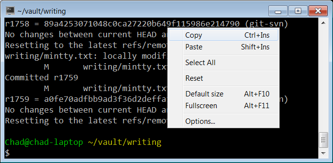 Terminal Latency on Windows | Chad Austin