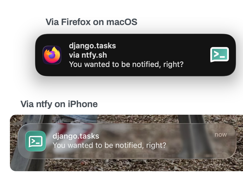 Ntfy notifications