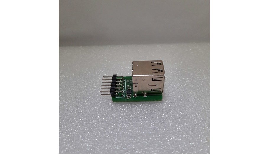 USB Host Dual Socket PMOD.