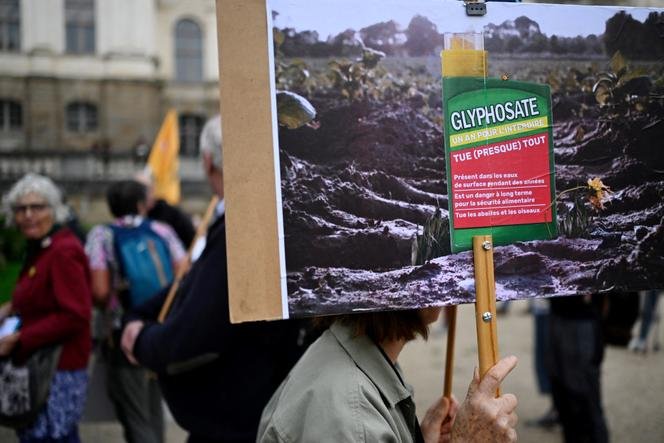 A person holds up a sign during a protest against the authorization of glyphosate-based herbicide, in Rennes, on October 12, 2023.
