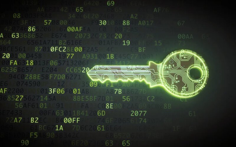 Security flaws in the Freedom Chat app exposed users’ phone numbers and PINs