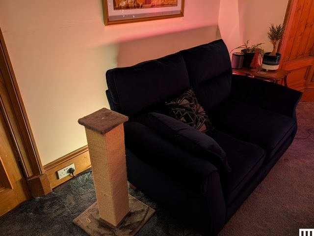 A dark couch near a cat scratching post, both illuminated by a soft yellow light on the floor behind the couch