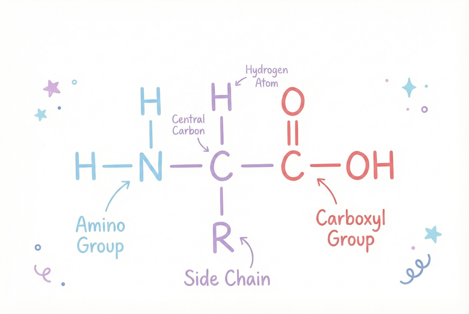 Image of Amino acid structure