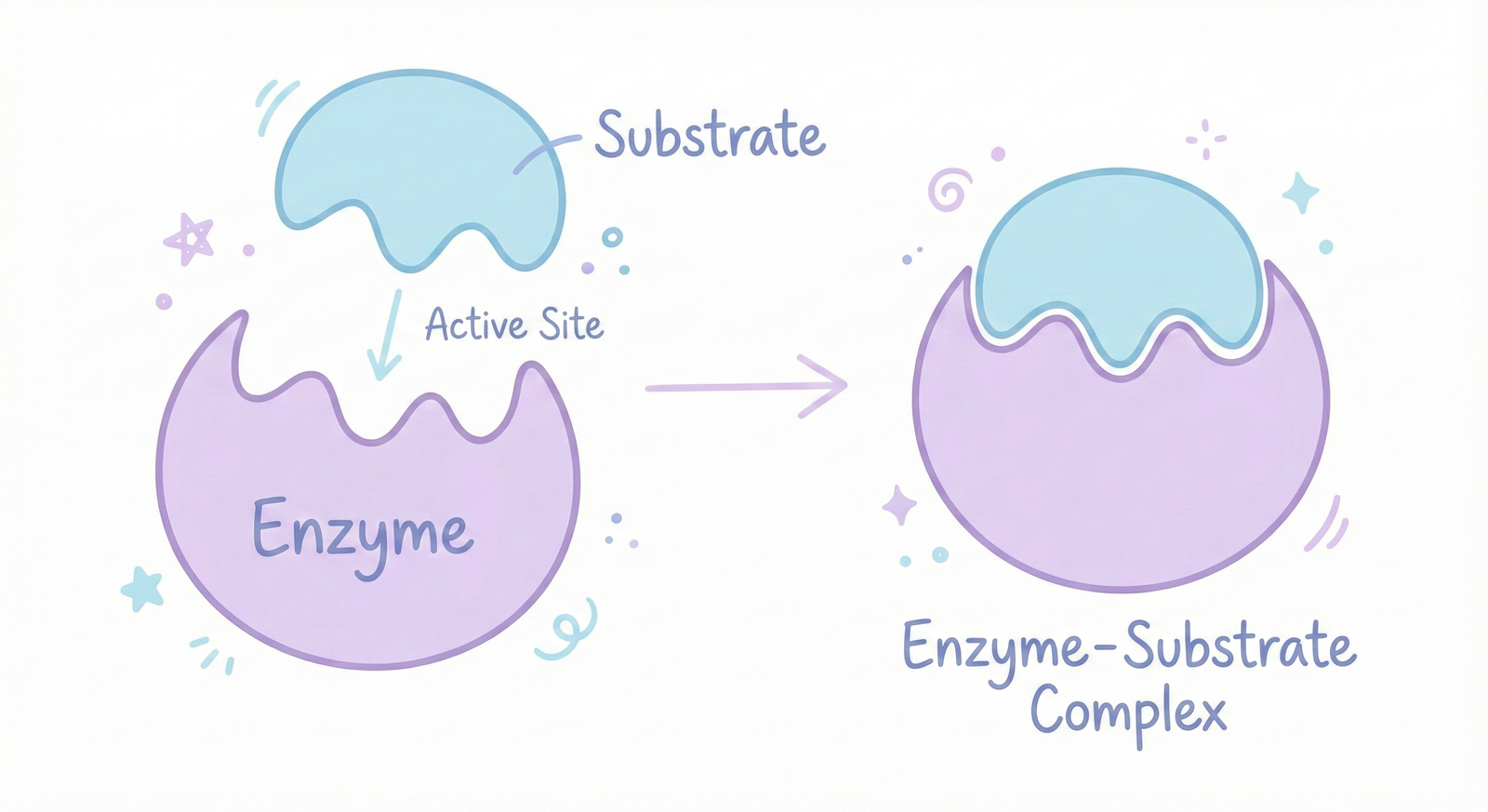 Image of enzyme substrate