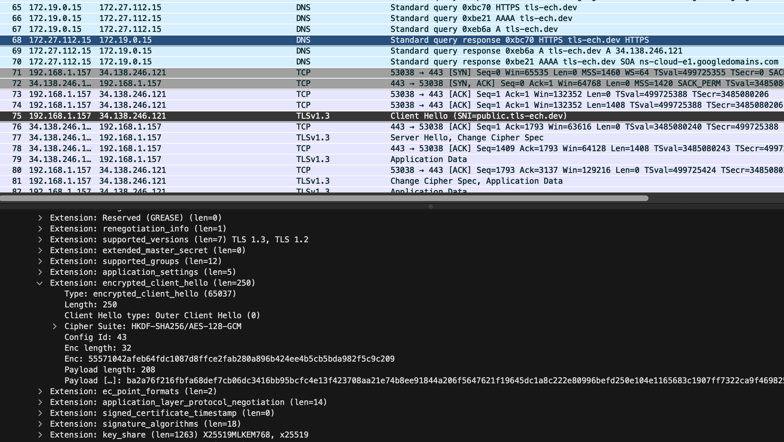 Wireshark
screenshot showing the ECH lookup and TLS extension
