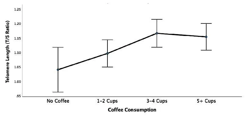 V Mlakar et all 2025 figure: As coffee consumption (X axis) increases up to 3-4 cups, telomere length (Y axis) increases.