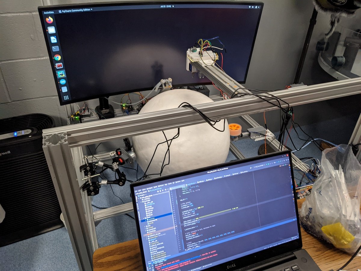 Rat VR Setup Version 1