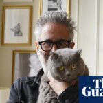 Pussies galore! David Baddiel’s Cat Man is perfect TV | television