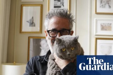 Pussies galore! David Baddiel’s Cat Man is perfect TV | television